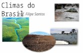 Climas do Brasil Prof. Filipe Santos mm30025020015010050 T °C 302520151005 J F M A M J J A S O N D ENTENDENDO UM CLIMOGRAMA Colunas ou barras representam.