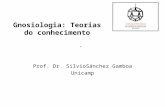 . Prof. Dr. SilvioSánchez Gamboa Unicamp Gnosiologia: Teorias do conhecimento.