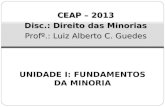 UNIDADE I: FUNDAMENTOS DA MINORIA CEAP – 2013 Disc.: Direito das Minorias Profº.: Luiz Alberto C. Guedes.