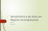 Aerodinâmica de Asas em Regime Incompressível AED-11 BESUNTS.