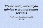 Pleiotropia, interação gênica e cromossomos sexuais Professor Rodrigo Bonaldi Utrera.