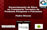 Gerenciamento de Risco no Transporte Terrestre de Produtos Perigosos e Poluentes Pedro Rincon Piracicaba 14/04/2014.