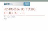 HISTOLOGIA DO TECIDO EPITELIAL - 3 Vera Regina Andrade, 2015.