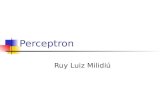 Perceptron Ruy Luiz Milidiú Resumo Objetivo Examinar o modelo do perceptron, seu algoritmo de aprendizado e limitações Sumário O Perceptron Aprendizado.