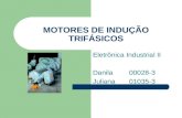 MOTORES DE INDUÇÃO TRIFÁSICOS Eletrônica Industrial II Danila 00028-3 Juliana01035-3.