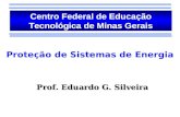 Proteção de Sistemas de Energia Centro Federal de Educação Tecnológica de Minas Gerais Prof. Eduardo G. Silveira.