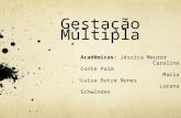 Gestação Múltipla Acadêmicas: Jéssica Meurer Caroline Conte Paim Maria Luiza Dutra Nunes Lorena Schwinden.