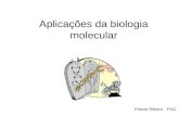 Aplicações da biologia molecular Erlane Ribeiro - FMJ.