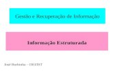 Gestão e Recuperação de Informação Informação Estruturada José Borbinha – DEI/IST.