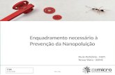 Enquadramento necessário à Prevenção da Nanopoluição 6/26/2008One day Paulo Partidário - INETI Teresa Vieira - ICEMS.