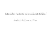 Extensões no teste de escalonabilidade. André Luis Meneses Silva.