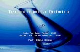 Termodinâmica Química Caio Coutinho Costa 15721 Rafael Rachid de Almeida 15743 Prof. Élcio Barrak.
