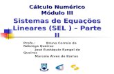 Profs.: Bruno Correia da Nóbrega Queiroz José Eustáquio Rangel de Queiroz Marcelo Alves de Barros Sistemas de Equações Lineares (SEL ) – Parte II Cálculo.