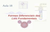Formas Diferenciais das Leis Fundamentais Aula 18.