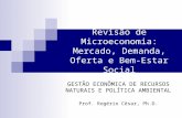 Revisão de Microeconomia: Mercado, Demanda, Oferta e Bem-Estar Social GESTÃO ECONÔMICA DE RECURSOS NATURAIS E POLÍTICA AMBIENTAL Prof. Rogério César, Ph.D.