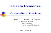 Cálculo Numérico Profs.: Bruno C. N. Queiroz J. Antão B. Moura Ulrich Schiel Maria Izabel C. Cabral Conceitos Básicos DSC/CCT/UFCG.