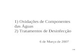 1/30 1) Oxidações de Componentes das Águas 2) Tratamentos de Desinfecção 6 de Março de 2007.