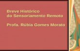 Breve Histórico do Sensoriamento Remoto Profa. Rúbia Gomes Morato.