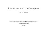 Processamento de Imagens SCE 5830 Instituto de Ciências Matemáticas e de Computação USP.