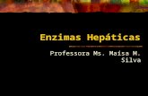 Enzimas Hepáticas Professora Ms. Maísa M. Silva. Funções Hepáticas Maior órgão glandular; Possui inúmeras funções metabólicas: síntese de proteínas, uréia,