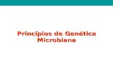 Princípios de Genética Microbiana. Genética (do grego genno; fazer nascer) é a ciência da hereditariedade e da variabilidade dos organismos. Definição.