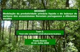 MODNET Modelação da produtividade primária líquida e do balanço de carbono dos ecossistemas florestais portugueses a diferentes escalas Task 2. Test site.