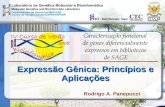 Expressão Gênica: Princípios e Aplicações Rodrigo A. Panepucci.
