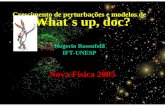 Crescimento de perturbações e modelos de quintessência What´s up, doc? Rogerio Rosenfeld Rogerio Rosenfeld IFT-UNESP IFT-UNESP Nova Física 2005 Nova Física.