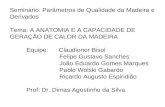 Seminário: Parâmetros de Qualidade da Madeira e Derivados Tema: A ANATOMIA E A CAPACIDADE DE GERAÇÃO DE CALOR DA MADEIRA Equipe: Claudionor Bisol Felipe.
