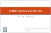FEP 113 – Aula 2a Dimensoes euclidianas Instituto de Física da Universidade de São Paulo.