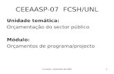 J.Lucena, Novembro de 20071 CEEAASP-07 FCSH/UNL Unidade temática: Orçamentação do sector público Módulo: Orçamentos de programa/projecto.