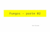 Fungos – parte 02 Prof Ricardo. Reprodução assexuada.