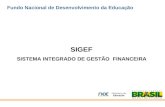 Capítulo V Redefinição da Renda e Riqueza PRODEMA Curso de Nivelamento Prof. Rogério César P. de Araújo Janeiro - 2008.