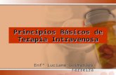 Princípios Básicos de Terapia Intravenosa Enfª Luciane Guimarães Ferreira.