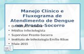 Manejo Clínico e Fluxograma de Atendimento de Dengue em Pronto-Socorro Dr. Ralcyon Teixeira Médico Infectologista Supervisor Pronto-Socorro Instituto de.