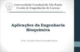 Aplicações da Engenharia Bioquímica Universidade Estadual de São Paulo Escola de Engenharia de Lorena Prof. Arnaldo Márcio Ramalho Prata.