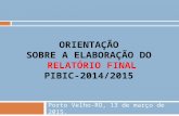 ORIENTAÇÃO SOBRE A ELABORAÇÃO DO RELATÓRIO FINAL PIBIC-2014/2015 Porto Velho-RO, 13 de março de 2015.