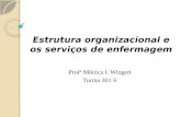Estrutura organizacional e os serviços de enfermagem Profª Mônica I. Wingert Turma 301 E.