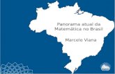 Panorama atual da Matemática no Brasil Marcelo Viana.