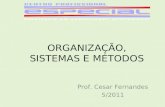 ORGANIZAÇÃO, SISTEMAS E MÉTODOS Prof. Cesar Fernandes 5/2011.
