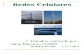 Redes Celulares Trabalho realizado por : Nuno Martins nº12207 Marta Tomé nº17503.