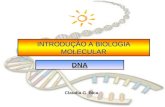 INTRODUÇÃO A BIOLOGIA MOLECULAR Claudia G. Bica DNA.