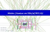 Muµes C³smicos em TileCal/ATLAS Jos© Maneira ATLAS/LIP Jornadas LIP 2005 - Peniche