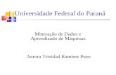 Universidade Federal do Paraná Mineração de Dados e Aprendizado de Máquinas. Aurora Trinidad Ramírez Pozo.