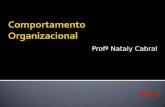 Profª Nataly Cabral Aula 3.  Fundamentos do comportamento individual  Características biográficas  Habilidades  Aprendizagem.