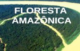 FLORESTA AMAZÔNICA. *LOCALIZAÇÃO: -Localizada na Região Norte do Brasil, -Área cerca de 5,5 milhões de km², -Fazendo parte de nove países, -A Amazônia.