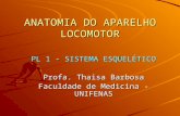 ANATOMIA DO APARELHO LOCOMOTOR PL 1 - SISTEMA ESQUELÉTICO Profa. Thaisa Barbosa Faculdade de Medicina - UNIFENAS.