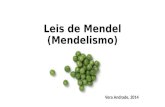 Leis de Mendel (Mendelismo) Vera Andrade, 2014. Leis de Mendel Lei da segregação dos fatores (1ª Lei) Lei da segregação independente dos fatores (2ª Lei)