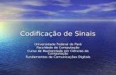 Codificação de Sinais Universidade Federal do Pará Faculdade de Computação Curso de Bacharelado em Ciências da Computação Fundamentos de Comunicações Digitais.