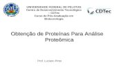 Obtenção de Proteínas Para Análise Proteômica UNIVERSIDADE FEDERAL DE PELOTAS Centro de Desenvolvimento Tecnológico – CDTec Curso de Pós-Graduação em Biotecnologia.